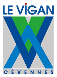 logo vigan footer